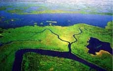 Visão das baías do Pantanal